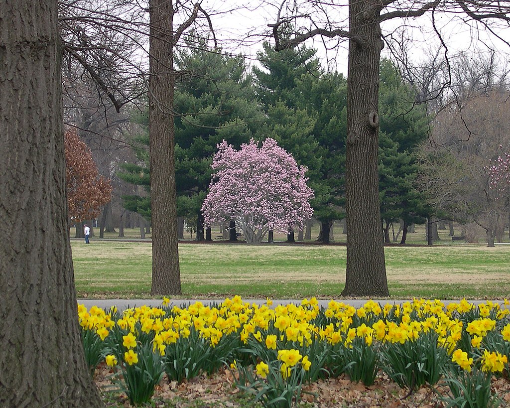 St. Louis, MO