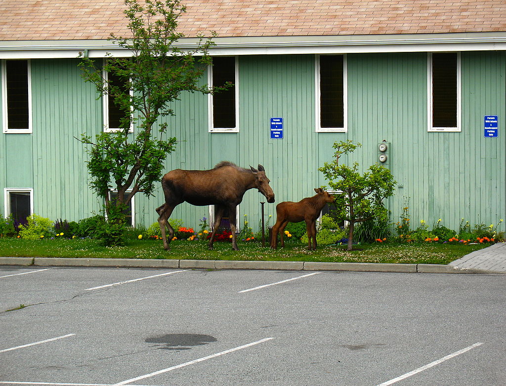 Anchorage, AK