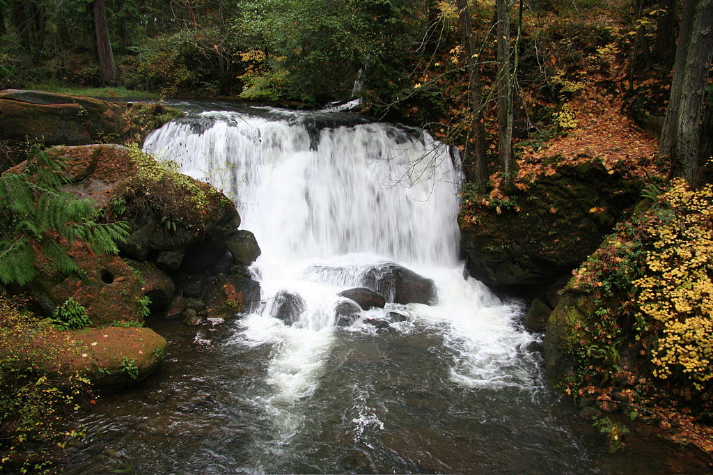 Bellingham, WA